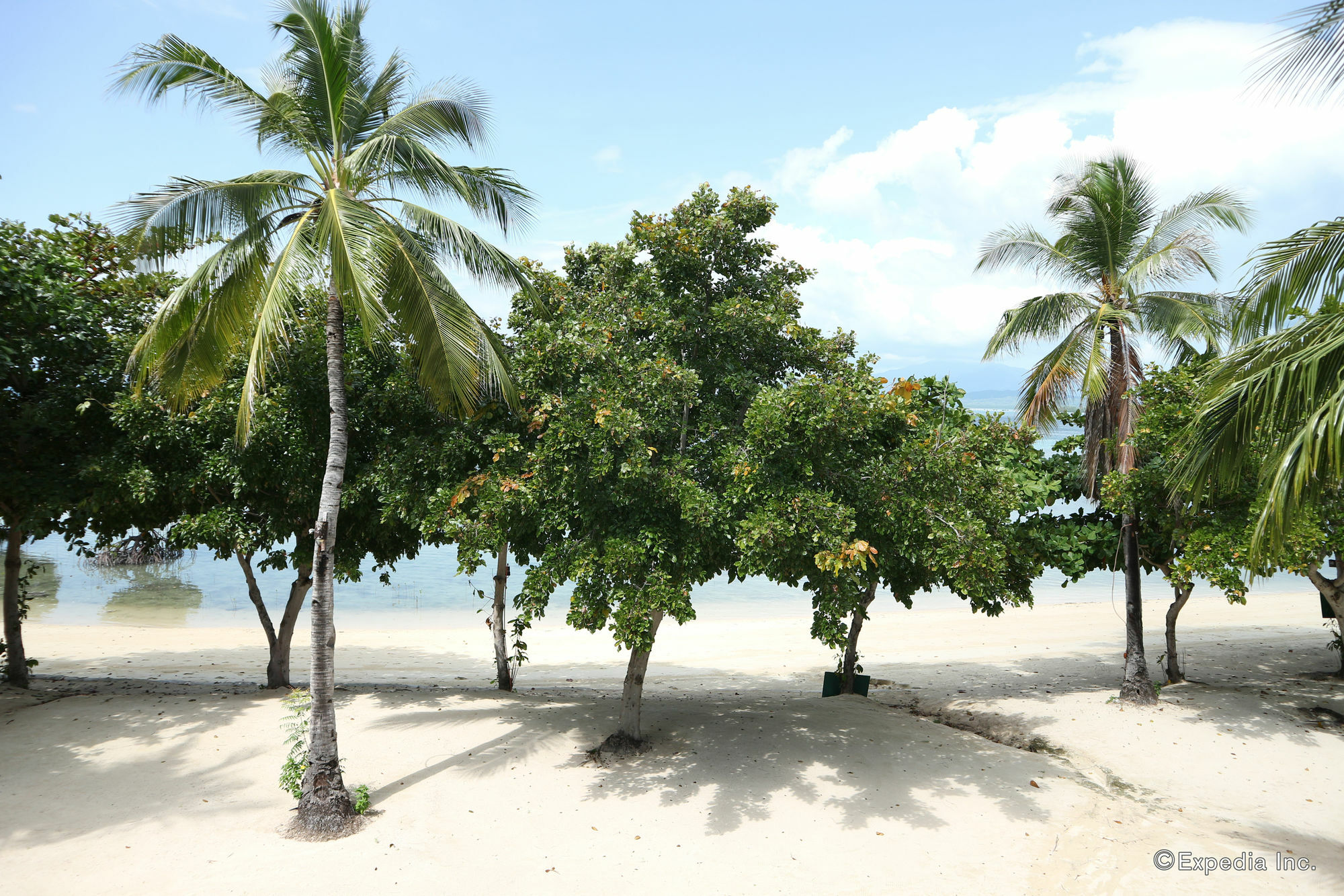 Dos Palmas Island Resort & Spa Puerto Princesa Extérieur photo