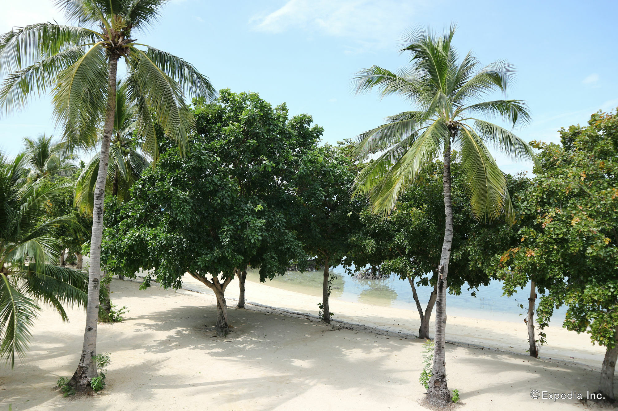 Dos Palmas Island Resort & Spa Puerto Princesa Extérieur photo
